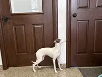 processed/9df88af3-7188-405a-9bb9-986e1332cdaa/listing/299cc820-6a68-4b6f-a9a9-477c42bcd0a1/ec480831-bbbb-484f-b274-613caf0a856a