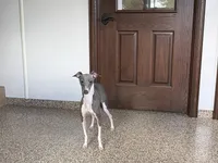 processed/9df88af3-7188-405a-9bb9-986e1332cdaa/listing/2e19ffd5-9121-42a1-8a5b-fcb84f77f964/33098215-1d64-467d-9e45-21b004532316