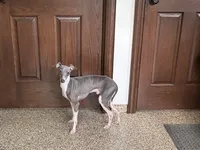 processed/9df88af3-7188-405a-9bb9-986e1332cdaa/listing/2e19ffd5-9121-42a1-8a5b-fcb84f77f964/647fa846-53fb-49ab-9764-38a1aa95c591