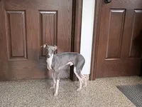 processed/9df88af3-7188-405a-9bb9-986e1332cdaa/listing/2e19ffd5-9121-42a1-8a5b-fcb84f77f964/89168001-57b0-41d9-a8db-d87e2c67f672