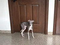 processed/9df88af3-7188-405a-9bb9-986e1332cdaa/listing/2e19ffd5-9121-42a1-8a5b-fcb84f77f964/a3f2c730-afda-4b93-a7d4-988a71d23379