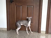 processed/9df88af3-7188-405a-9bb9-986e1332cdaa/listing/2e19ffd5-9121-42a1-8a5b-fcb84f77f964/e62d2a0d-fb22-4116-ac81-d1c96e5a5b3f