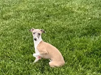 processed/9df88af3-7188-405a-9bb9-986e1332cdaa/listing/31006a88-7329-4b83-8e8c-4a4293ce44e7/14476dc0-af4c-4906-ba44-835c4adc7d4b