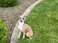 processed/9df88af3-7188-405a-9bb9-986e1332cdaa/listing/31006a88-7329-4b83-8e8c-4a4293ce44e7/46af7ce7-bfb3-4389-b798-850d3a0e22d0