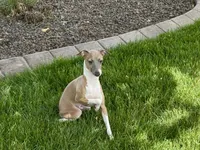 processed/9df88af3-7188-405a-9bb9-986e1332cdaa/listing/31006a88-7329-4b83-8e8c-4a4293ce44e7/584eb6ea-1249-458b-8eca-951d5ce2cccb