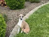 processed/9df88af3-7188-405a-9bb9-986e1332cdaa/listing/31006a88-7329-4b83-8e8c-4a4293ce44e7/75b2b824-42b7-48fa-8e76-4b1820a55dc6