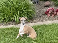 processed/9df88af3-7188-405a-9bb9-986e1332cdaa/listing/31006a88-7329-4b83-8e8c-4a4293ce44e7/a020f39a-2a79-41eb-a384-35a0a9056515