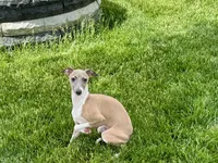 processed/9df88af3-7188-405a-9bb9-986e1332cdaa/listing/31006a88-7329-4b83-8e8c-4a4293ce44e7/e852e3dd-2174-48de-8994-00e1479fe1ba