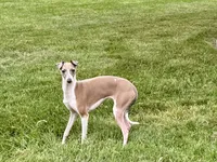 processed/9df88af3-7188-405a-9bb9-986e1332cdaa/listing/4a762cef-eb35-4b0f-a18b-cbbc5e13125c/09886879-d2e6-4ef1-aa35-54ce81068b14