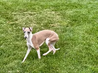 processed/9df88af3-7188-405a-9bb9-986e1332cdaa/listing/4a762cef-eb35-4b0f-a18b-cbbc5e13125c/1797e6af-62fa-4ccd-ab25-502a12dada9a