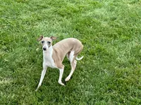 processed/9df88af3-7188-405a-9bb9-986e1332cdaa/listing/4a762cef-eb35-4b0f-a18b-cbbc5e13125c/1eba207b-adb3-40df-95a8-df09d8d19182