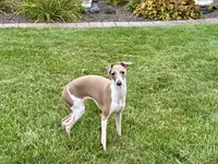 processed/9df88af3-7188-405a-9bb9-986e1332cdaa/listing/4a762cef-eb35-4b0f-a18b-cbbc5e13125c/36d28afa-f4d3-4036-817a-295367869f23