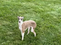 processed/9df88af3-7188-405a-9bb9-986e1332cdaa/listing/4a762cef-eb35-4b0f-a18b-cbbc5e13125c/78faa17b-2afe-4baa-b213-515f6084a167