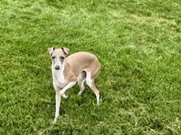 processed/9df88af3-7188-405a-9bb9-986e1332cdaa/listing/4a762cef-eb35-4b0f-a18b-cbbc5e13125c/9af342eb-a8fe-4fb5-abc0-1feb151aaf39