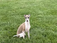 processed/9df88af3-7188-405a-9bb9-986e1332cdaa/listing/4a762cef-eb35-4b0f-a18b-cbbc5e13125c/b98f5455-2be9-488b-8b00-25c30720c2c1