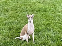 processed/9df88af3-7188-405a-9bb9-986e1332cdaa/listing/4a762cef-eb35-4b0f-a18b-cbbc5e13125c/e08a8b58-0d1b-4ccc-b987-88e5112f6262