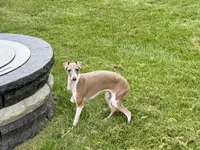 processed/9df88af3-7188-405a-9bb9-986e1332cdaa/listing/4a762cef-eb35-4b0f-a18b-cbbc5e13125c/fe9de8d6-bcf0-41a3-a0aa-bcce4ee56432