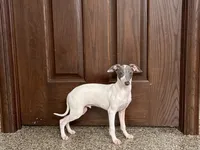 processed/9df88af3-7188-405a-9bb9-986e1332cdaa/listing/50bd48e4-8eb9-43d5-97a6-89fb22f61154/8aedeb68-9cc0-4349-9969-653254cb4035