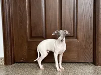 processed/9df88af3-7188-405a-9bb9-986e1332cdaa/listing/50bd48e4-8eb9-43d5-97a6-89fb22f61154/8b146a12-610f-4acb-a887-d9c2348c5a75