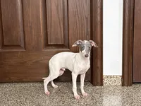 processed/9df88af3-7188-405a-9bb9-986e1332cdaa/listing/50bd48e4-8eb9-43d5-97a6-89fb22f61154/cb8306e5-c713-481d-8437-3ab37fb6c256