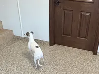 processed/9df88af3-7188-405a-9bb9-986e1332cdaa/listing/5c6d0530-043b-49e0-8e4f-44e367e7022d/09611e40-e8cd-475a-9f43-39faea11b740