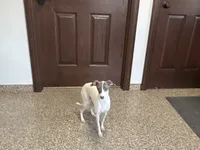 processed/9df88af3-7188-405a-9bb9-986e1332cdaa/listing/5c6d0530-043b-49e0-8e4f-44e367e7022d/2564610c-e12f-4941-b972-6fd9347a7284