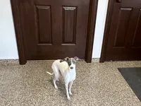 processed/9df88af3-7188-405a-9bb9-986e1332cdaa/listing/5c6d0530-043b-49e0-8e4f-44e367e7022d/2723e1a5-efce-4597-ba7c-5a518c5f60ab