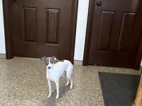 processed/9df88af3-7188-405a-9bb9-986e1332cdaa/listing/5c6d0530-043b-49e0-8e4f-44e367e7022d/65e1f16c-5c9e-4819-8e3b-0d06595b4311