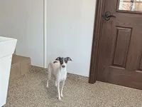 processed/9df88af3-7188-405a-9bb9-986e1332cdaa/listing/5c6d0530-043b-49e0-8e4f-44e367e7022d/7546855f-e953-4ab4-ad92-29bb866c8b70