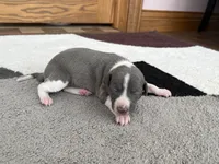 processed/9df88af3-7188-405a-9bb9-986e1332cdaa/listing/69333c54-9245-4868-9031-06fe7b23a666/112789fc-f7ab-4ca5-8fd3-9e8a7f22ad2d