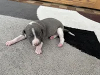 processed/9df88af3-7188-405a-9bb9-986e1332cdaa/listing/69333c54-9245-4868-9031-06fe7b23a666/803f09c7-bcc8-4857-bc33-8b9579d02fa2