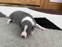 processed/9df88af3-7188-405a-9bb9-986e1332cdaa/listing/69333c54-9245-4868-9031-06fe7b23a666/f2fd0a45-c17a-4642-af28-04df83dd0f77