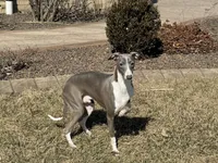 processed/9df88af3-7188-405a-9bb9-986e1332cdaa/listing/6e4f7643-3640-4495-9b18-0f79a1f506ae/1ae1471f-512e-4cbd-ab4e-9937c15f9c1d