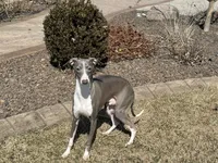 processed/9df88af3-7188-405a-9bb9-986e1332cdaa/listing/6e4f7643-3640-4495-9b18-0f79a1f506ae/2742c56b-ba98-4970-b2d7-e69ffe2ccbd8