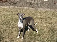 processed/9df88af3-7188-405a-9bb9-986e1332cdaa/listing/6e4f7643-3640-4495-9b18-0f79a1f506ae/323ecc4e-60b4-462f-ab18-87dec14e3473