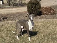 processed/9df88af3-7188-405a-9bb9-986e1332cdaa/listing/6e4f7643-3640-4495-9b18-0f79a1f506ae/82cce2dd-688f-4041-a932-8e530787b39e