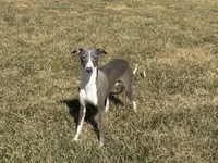 processed/9df88af3-7188-405a-9bb9-986e1332cdaa/listing/6e4f7643-3640-4495-9b18-0f79a1f506ae/cc21920b-98f5-494a-8faf-b3928cd4a130