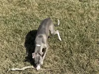 processed/9df88af3-7188-405a-9bb9-986e1332cdaa/listing/6e4f7643-3640-4495-9b18-0f79a1f506ae/eb2b47c4-69cb-4cff-8aae-e53852b1a779