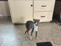 processed/9df88af3-7188-405a-9bb9-986e1332cdaa/listing/6e84ac80-289d-41f0-993e-3a8a847deac4/035c23da-1056-4e22-8fe2-d16df3c12f16