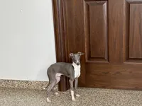 processed/9df88af3-7188-405a-9bb9-986e1332cdaa/listing/6e84ac80-289d-41f0-993e-3a8a847deac4/a838b542-19aa-498c-a03c-9bf4c4200494