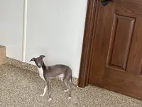 processed/9df88af3-7188-405a-9bb9-986e1332cdaa/listing/6e84ac80-289d-41f0-993e-3a8a847deac4/e351da39-e498-4db3-a0dc-e5d2dfa60bab