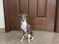 processed/9df88af3-7188-405a-9bb9-986e1332cdaa/listing/73c9e406-b359-4ff0-8f76-830d03d34d45/361ffd76-1331-431b-a71f-0c15576a32e6