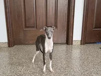 processed/9df88af3-7188-405a-9bb9-986e1332cdaa/listing/73c9e406-b359-4ff0-8f76-830d03d34d45/75afc749-18a3-4d49-8bb5-2c568690355c