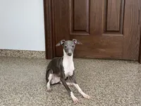 processed/9df88af3-7188-405a-9bb9-986e1332cdaa/listing/73c9e406-b359-4ff0-8f76-830d03d34d45/b00bd727-9433-4e78-a096-30a7d89fbc6a