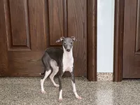 processed/9df88af3-7188-405a-9bb9-986e1332cdaa/listing/73c9e406-b359-4ff0-8f76-830d03d34d45/be0d92b7-a148-487b-ad96-d15857fee4e5