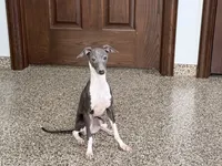 processed/9df88af3-7188-405a-9bb9-986e1332cdaa/listing/73c9e406-b359-4ff0-8f76-830d03d34d45/c48f03d1-50a9-480d-95f2-b63fedb05f86