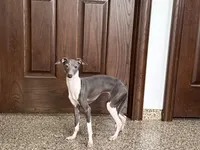 processed/9df88af3-7188-405a-9bb9-986e1332cdaa/listing/73c9e406-b359-4ff0-8f76-830d03d34d45/c5de8739-219d-495a-adfc-8384940e45f2