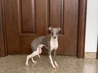 processed/9df88af3-7188-405a-9bb9-986e1332cdaa/listing/7844d343-4533-4033-9d76-d02de38ad7b8/0e0fe193-5ce5-4a08-ba2c-ad93edfb64be