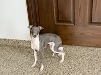 processed/9df88af3-7188-405a-9bb9-986e1332cdaa/listing/7844d343-4533-4033-9d76-d02de38ad7b8/2401bf36-54d7-4e31-a667-424ec44e4979