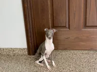 processed/9df88af3-7188-405a-9bb9-986e1332cdaa/listing/7844d343-4533-4033-9d76-d02de38ad7b8/ff7137f2-be73-4d94-aac5-2bf046393f62